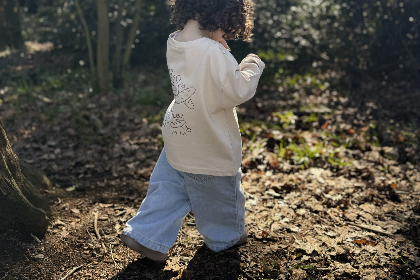 The ALBA Jean