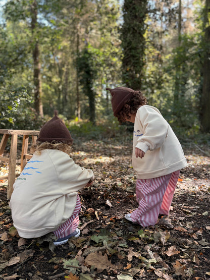 The Alba pant - Candy stripe