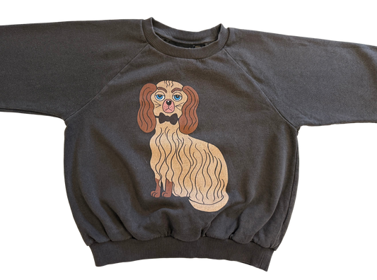 Mini Rodini Sweatshirt
